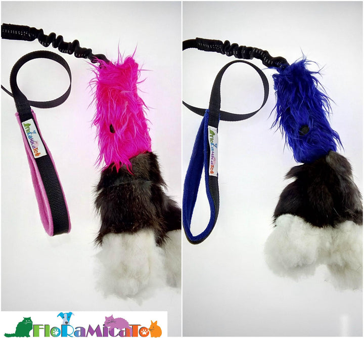 Floramicato Fluffy Squid Teaser