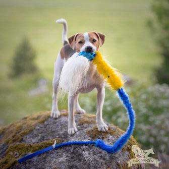 Holee Comet Bungee Chaser Tug