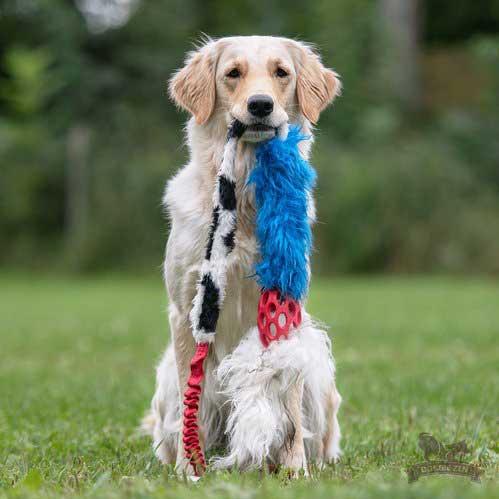 Holee Comet Bungee Chaser Tug