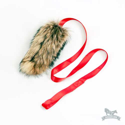 Raccoon Fur Chaser