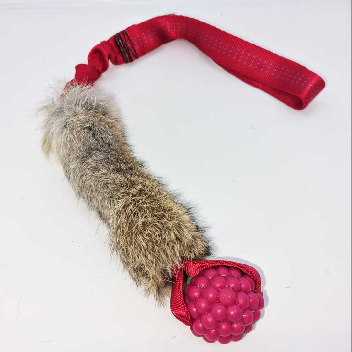 TugAway Bungee Raspberry Rabbit Tug