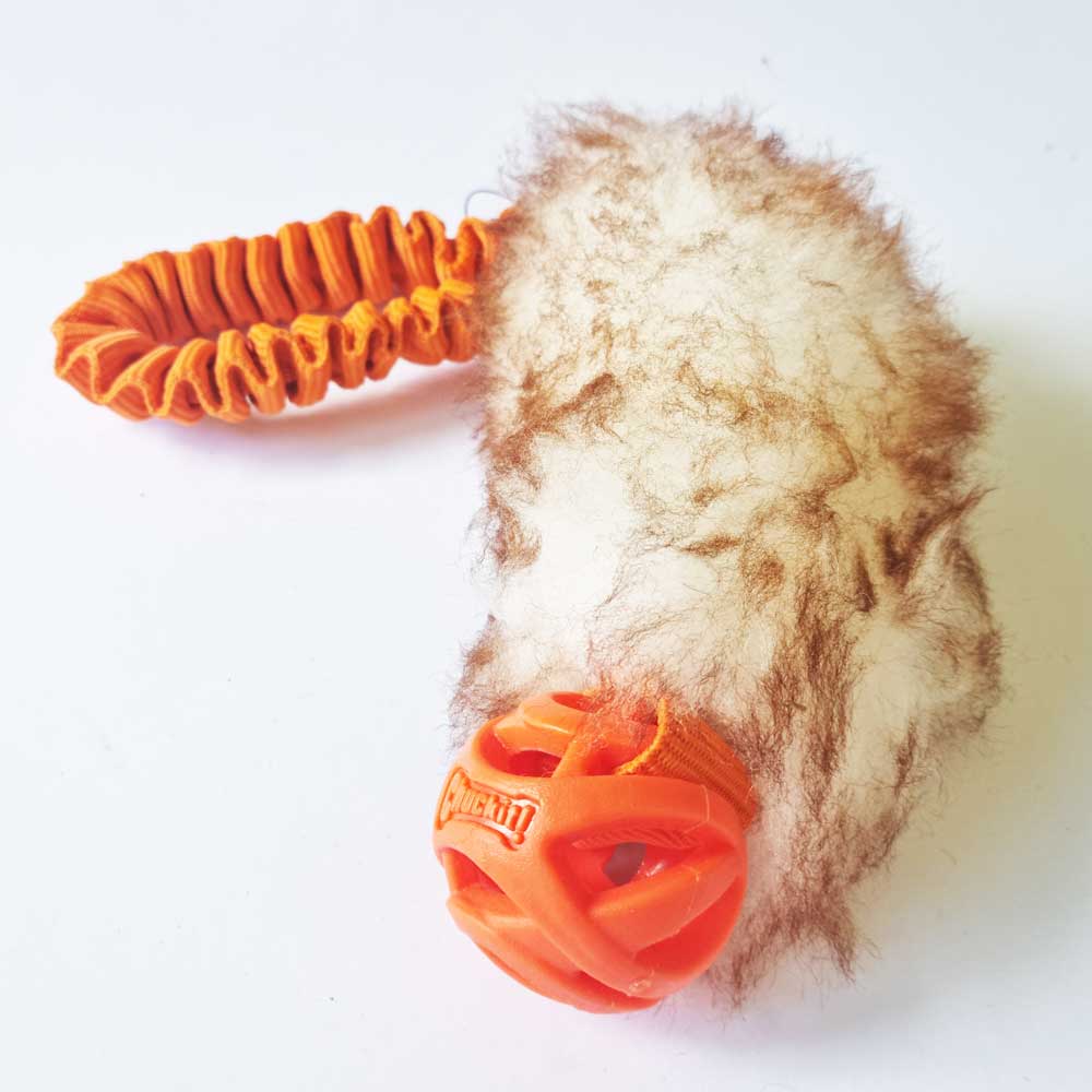 Big Sheep Fur FULL bungee tug with Chuckit Breathe Right Ball