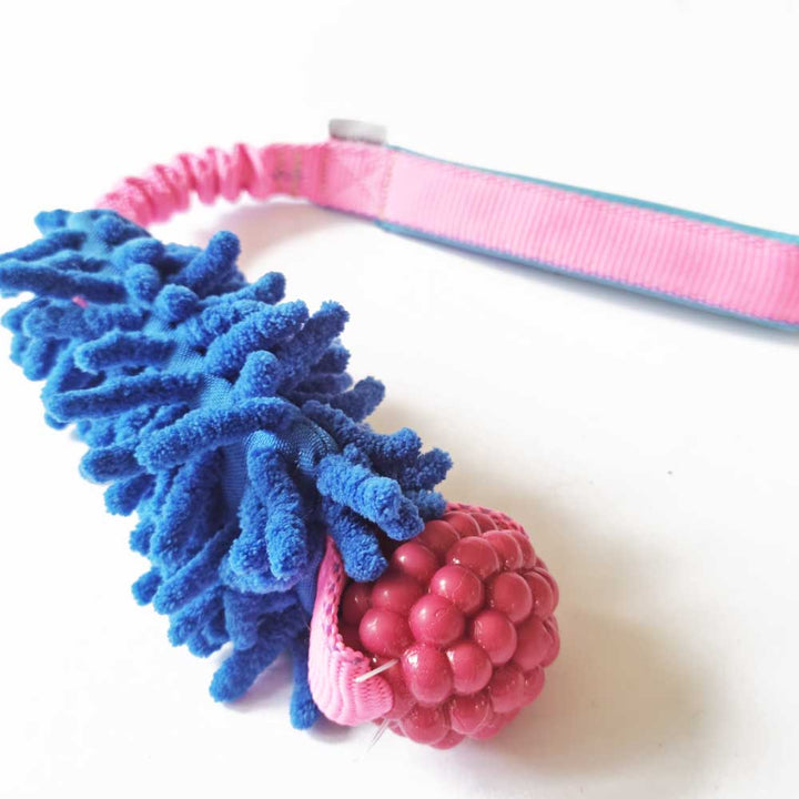 Planet Dog Rasberry Bungee with MOP Pocket Tug