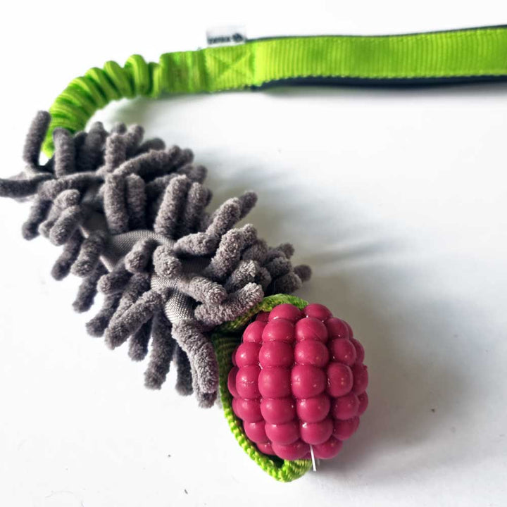 Planet Dog Rasberry Bungee with MOP Pocket Tug