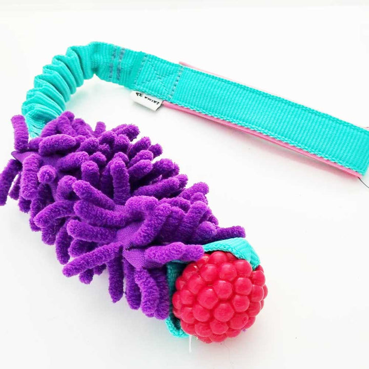 Planet Dog Rasberry Bungee with MOP Pocket Tug