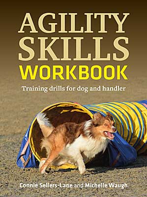 Agility Skills Workbook -  Training Drills for Dog and Handler