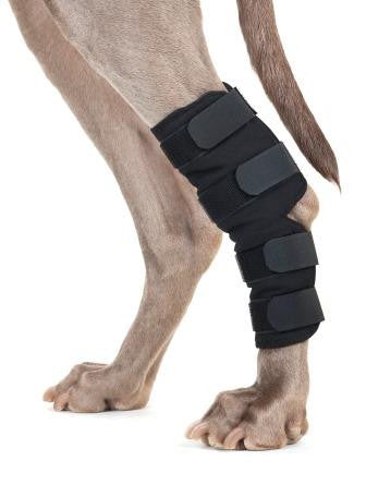 Back on Track Therapeutic Dog Hock Wrap (pair)