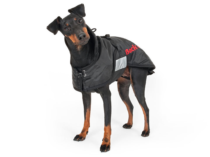 Back on Track Therapeutic Dog QUILTED Blanket