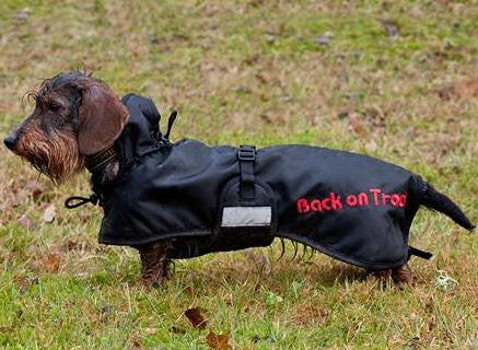 Back on Track Therapeutic Dog QUILTED Blanket