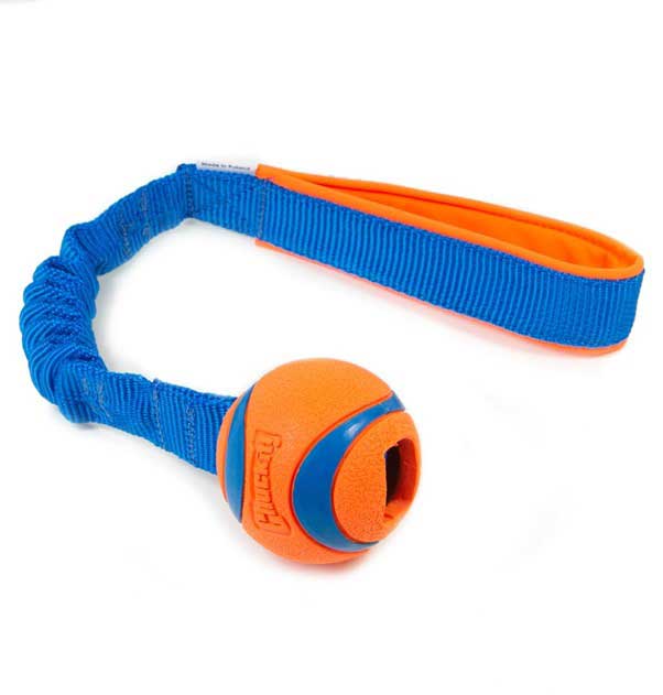 Chuckit! Ultra Ball bungee tug