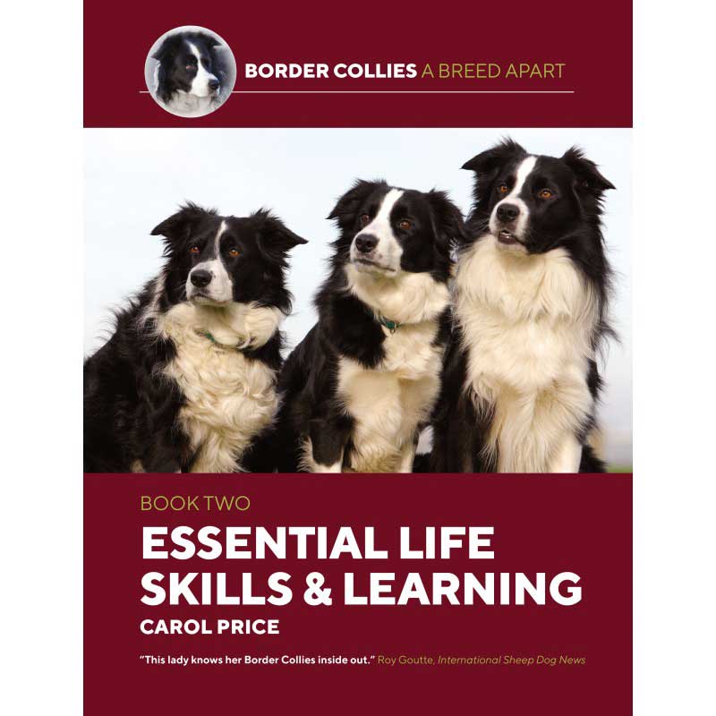 Border Collies A Breed Apart: Book Two- Essential Life Skills and Learning