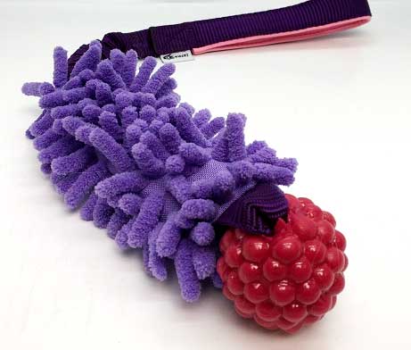 Planet Dog Rasberry Bungee with MOP Pocket Tug
