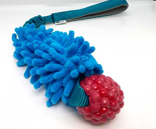 Planet Dog Rasberry Bungee with MOP Pocket Tug