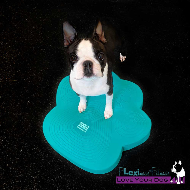 Flexiness®PawDisc