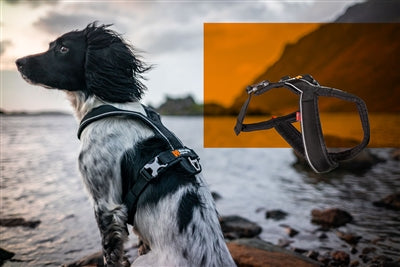 Non-Stop Dogwear - Line Harness