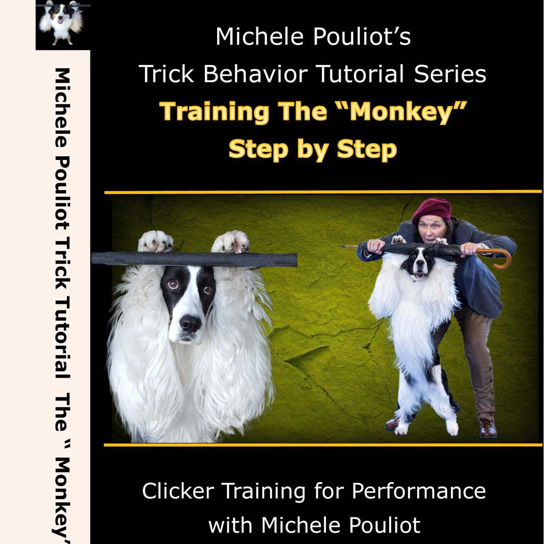 Training the Monkey by Michele Pouliot – Game on Dogs