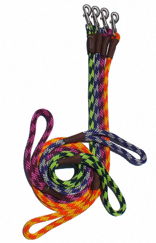 Mendota dog outlet leash