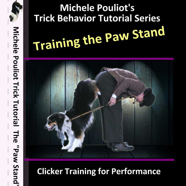 Training the Paw Stand by Michele Pouliot