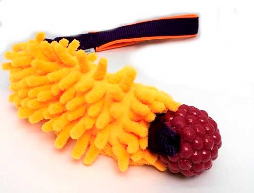 Planet Dog Rasberry Bungee with MOP Pocket Tug