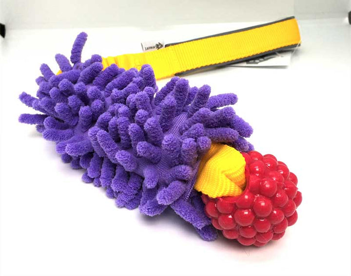 Planet Dog Rasberry Bungee with MOP Pocket Tug