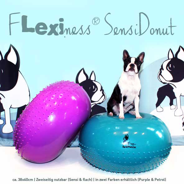 Flexiness®SensiDonut