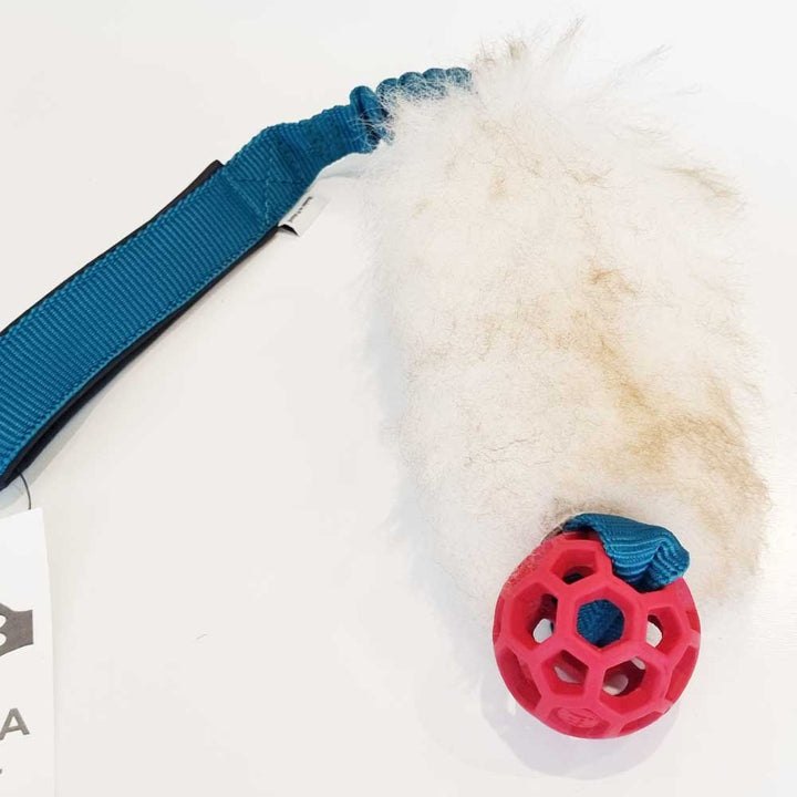 Sheep Fur bungee with MINI Holee Roller Pocket tug