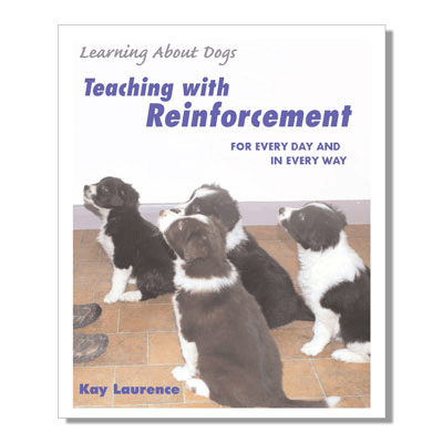 Teaching with Reinforcement – for every day and in every way