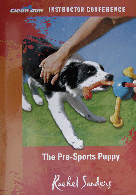The Pre-sports Puppy
