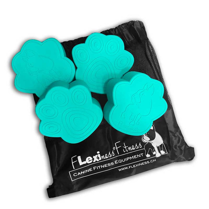 Flexiness®ToyPawDiscs- set of 4