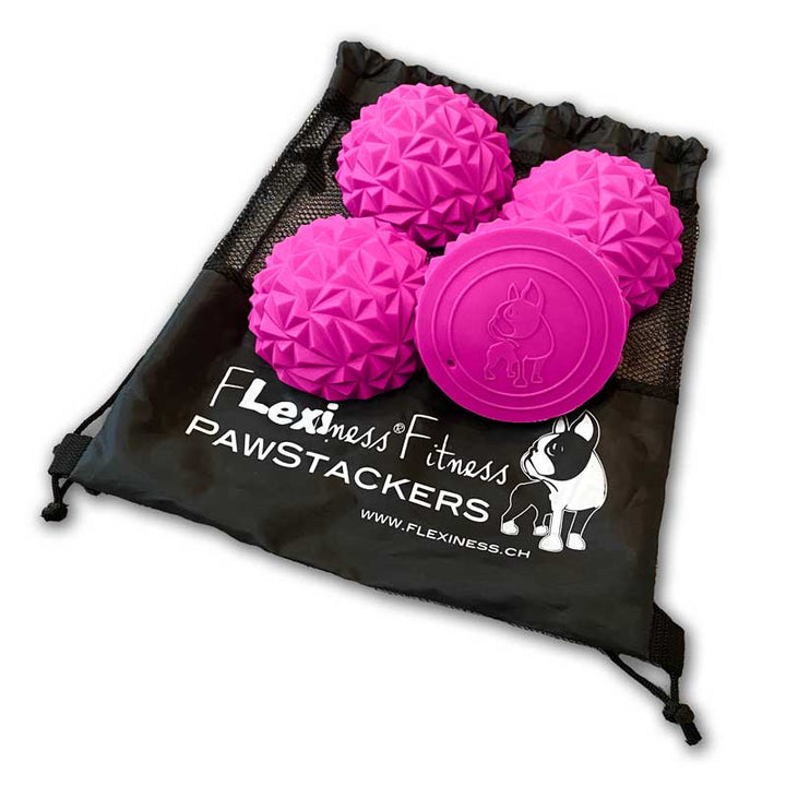 Flexiness®ToyPawStackers