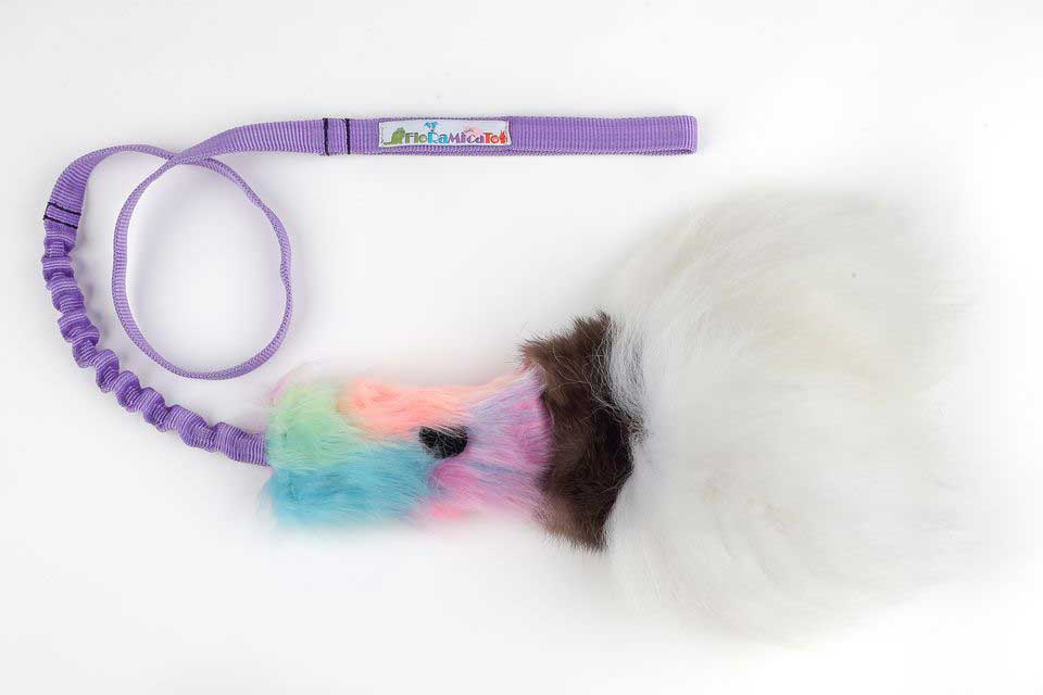 Floramicato Fluffy Squid Teaser