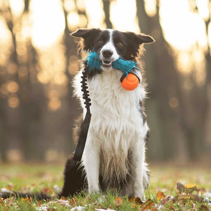 Faux Fur Chuckit Ball Bungee Tug