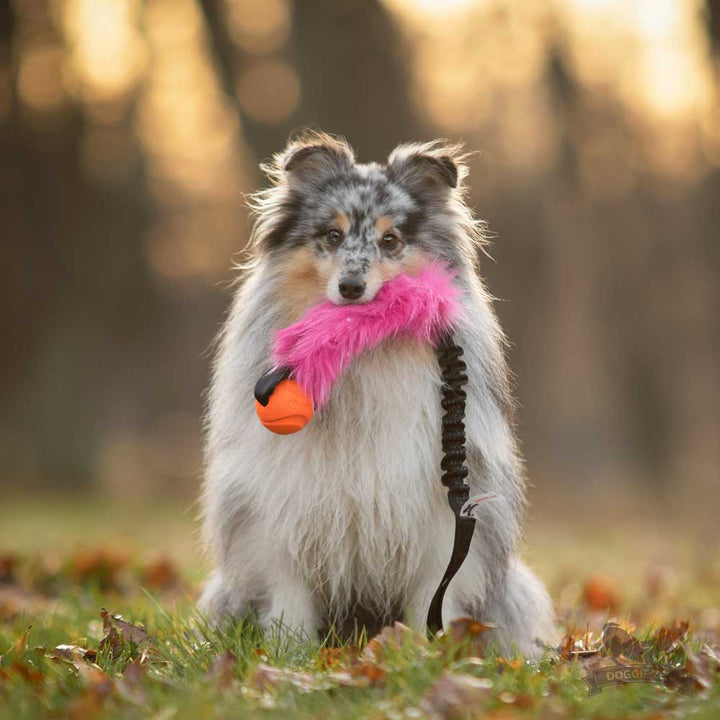 Faux Fur Chuckit Ball Bungee Tug