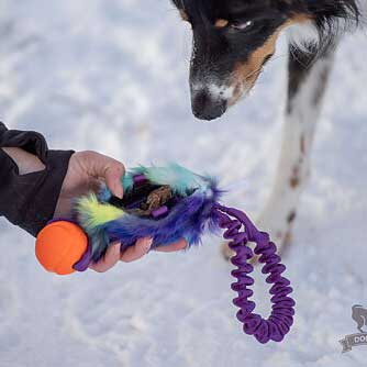 Faux fur Treat Pouch with Chuckit ball and full bungee handle