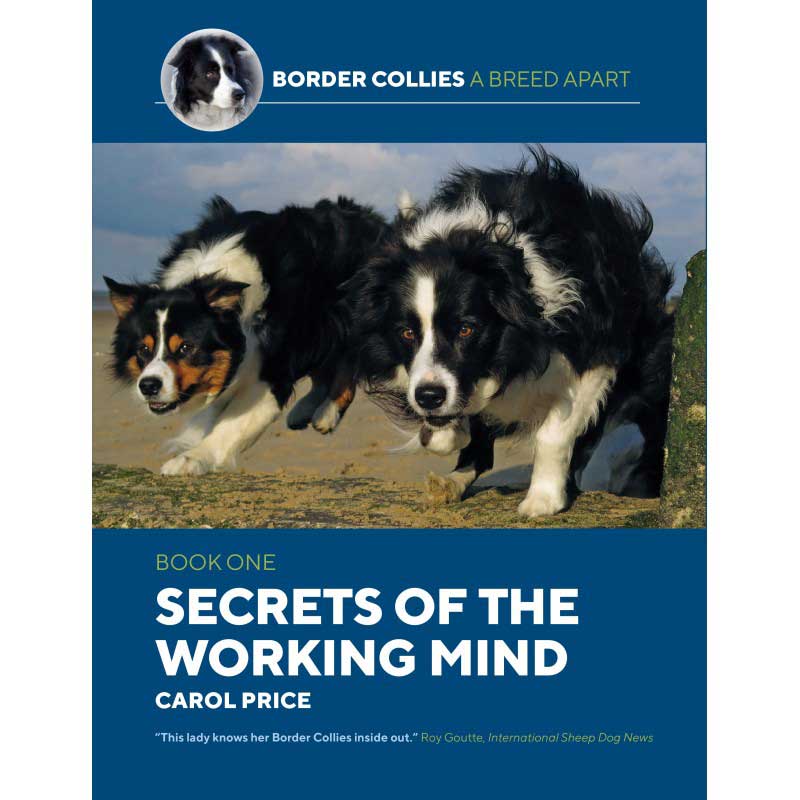 Border Collies A Breed Apart: Secrets of the Working Mind Book