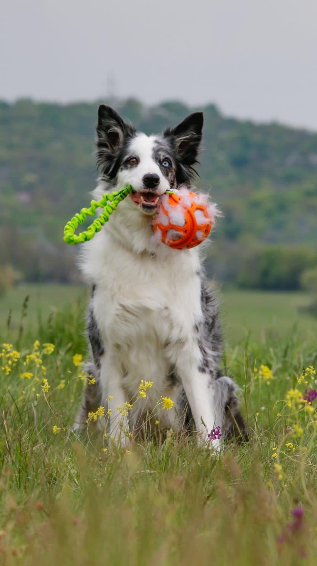 Floramicato Fluffy Baa Comet Ball