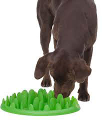 Northmate Green Interactive Feeder