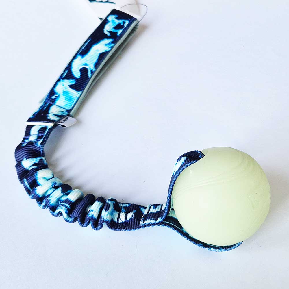 Chuckit Max Glow Ball with bungee tug