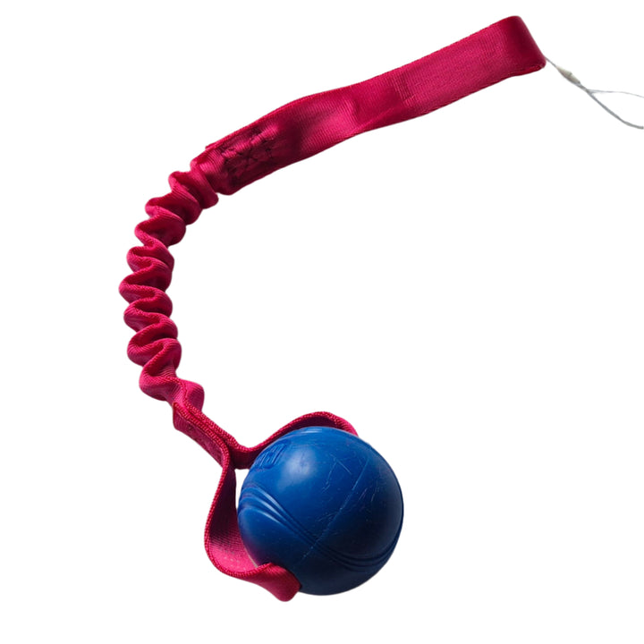 Chuckit Super Crunch Bungee Tug