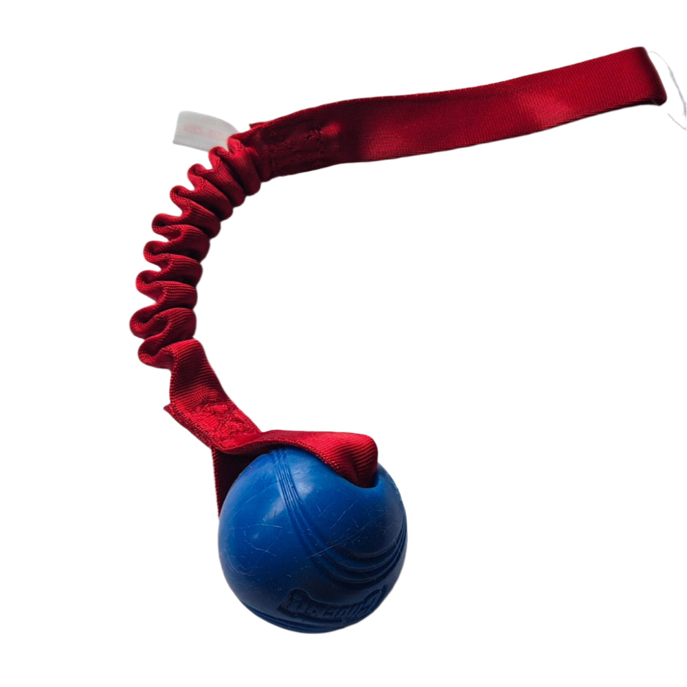 Chuckit Super Crunch Bungee Tug