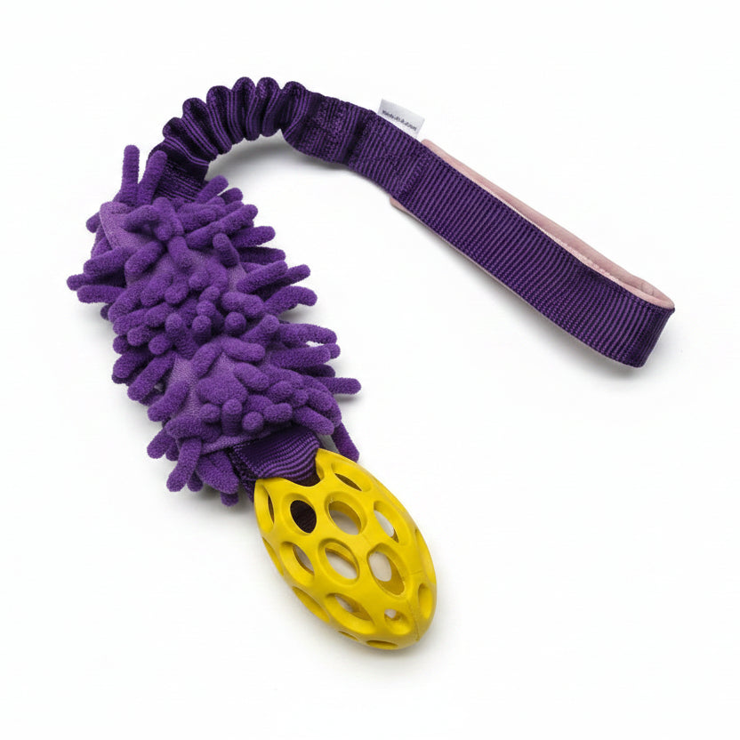 Pocket Comet  Mop bungee tug