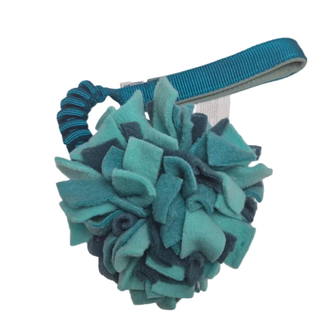 Pom Pom with HR ball and bungee tug