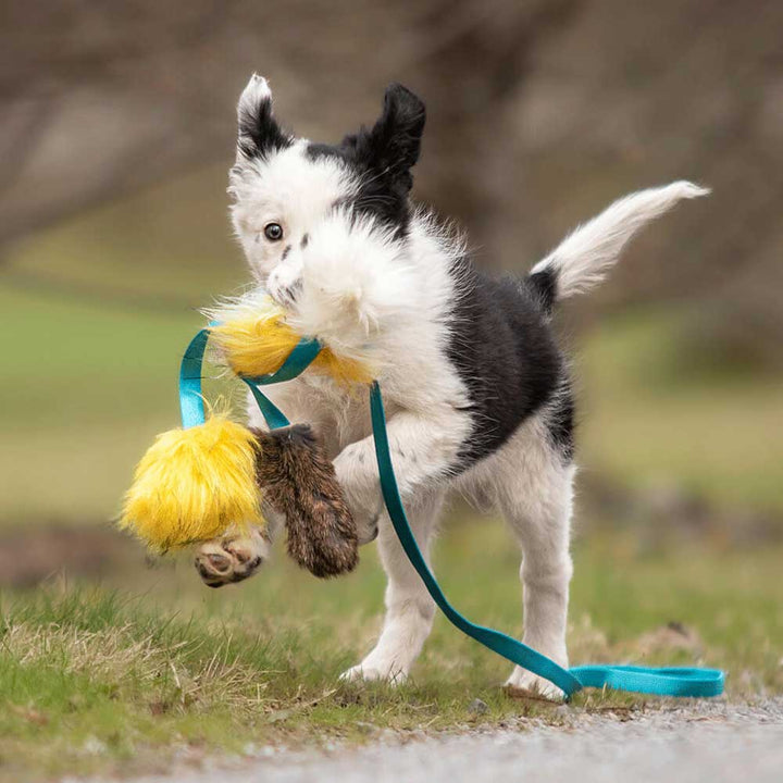 Octopus Squeaker Chaser - Rabbit + Sheepskin