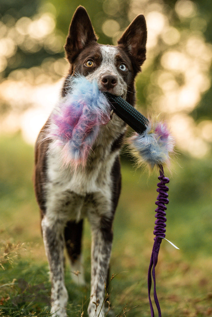 Squeaky Faux Fur Bungee Treat Pouch