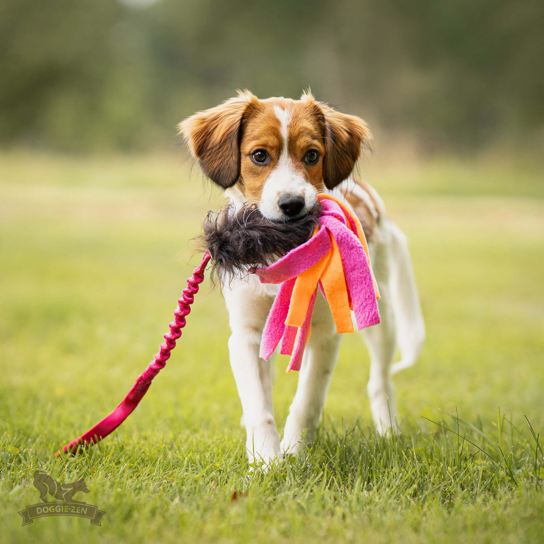 Sheepskin with Fleece Tails Bungee Tug