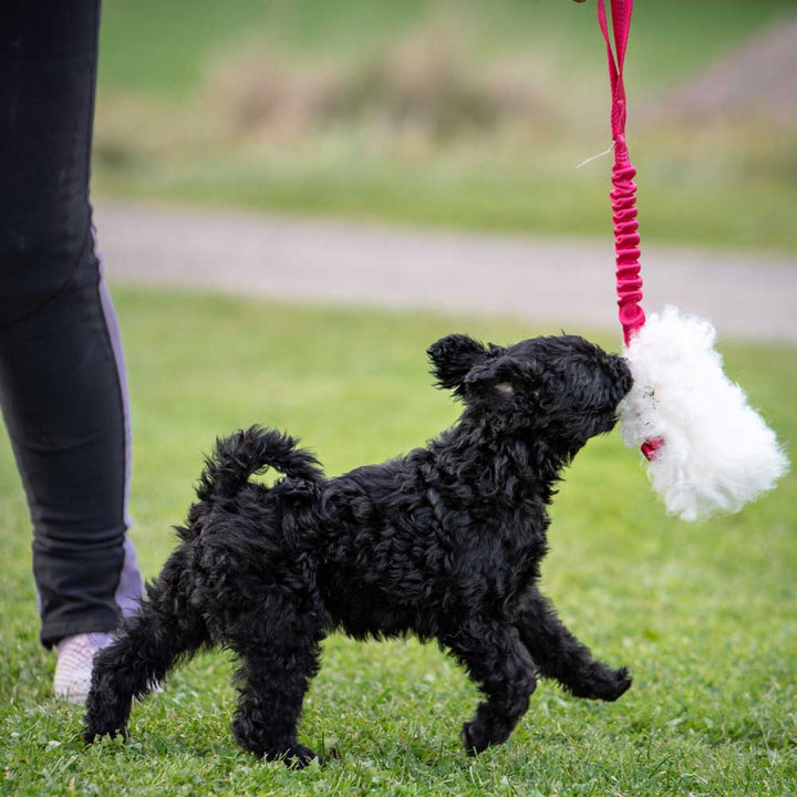 Sheepskin Bungee Treat Pouch