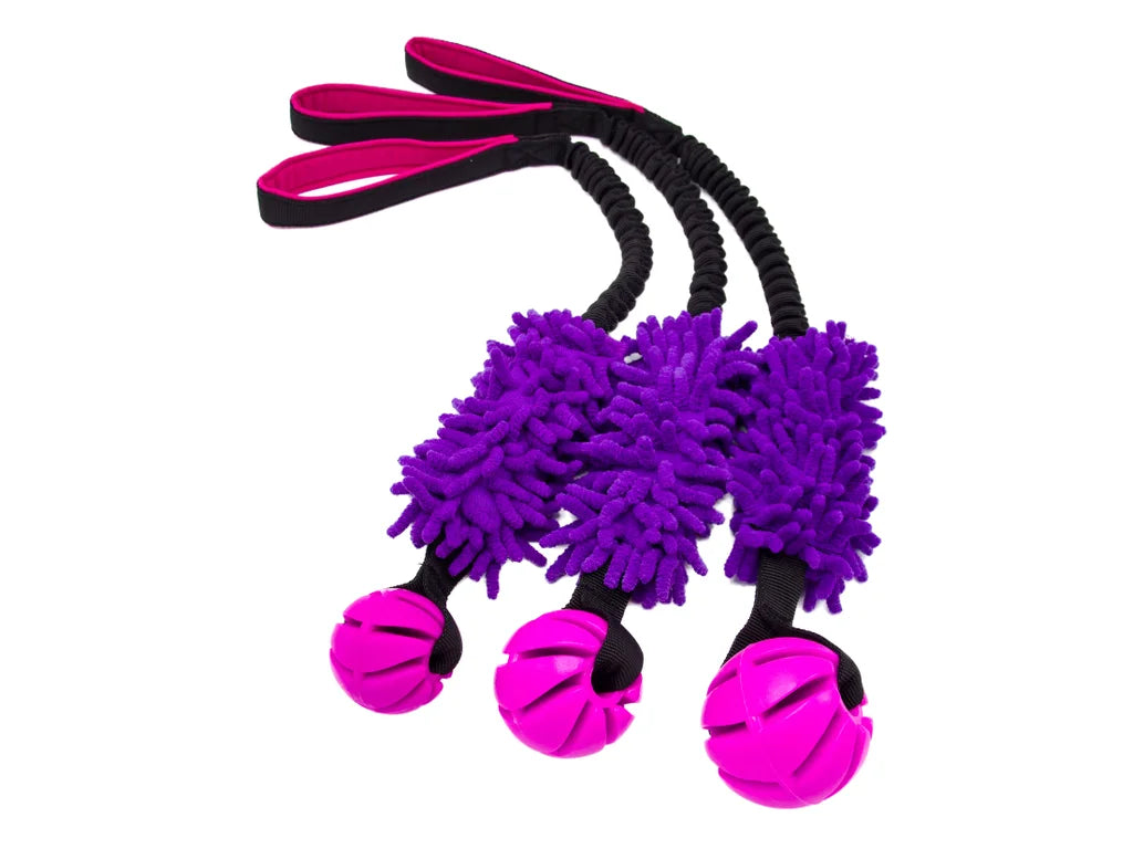 All Dog toys