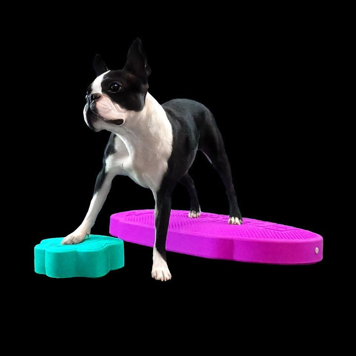 Flexiness®ToyPawDiscs