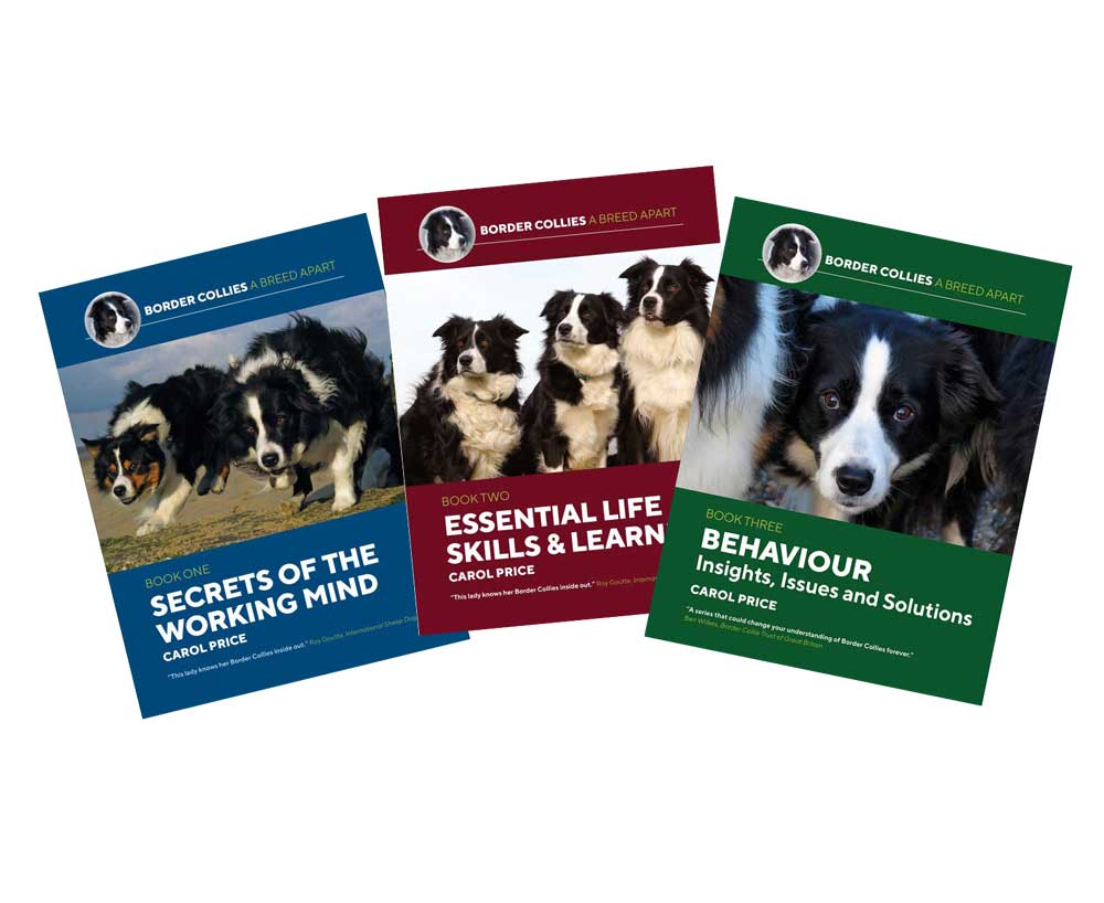 Border Collies A Breed Apart: Secrets of the Working Mind Book 1