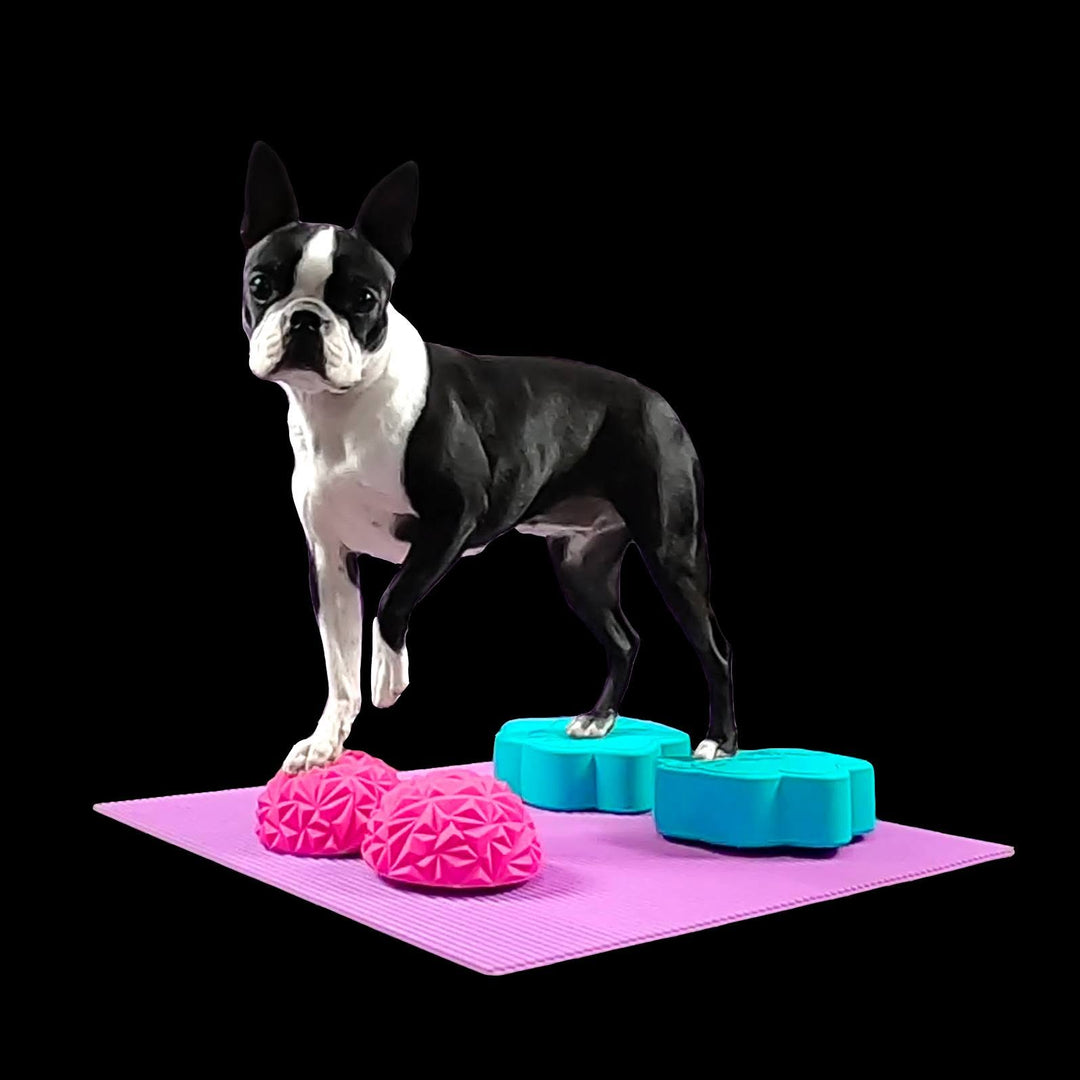 Flexiness®ToyPawDiscs
